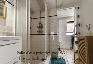 a bathroom with a shower with white tiles at Chambre - Centre historique - Equipée - Salle d'eau et WC privés in Colmar