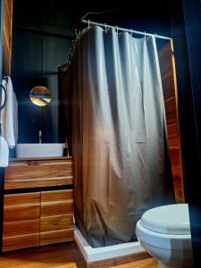 a bathroom with a shower curtain and a toilet at Amazing cabin in Samalayuca in Samalayuca