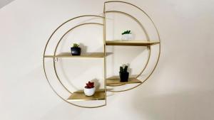 a circular mirror hanging on a wall with potted plants at Do Campanili by Ca-Sa Check in Chioggia