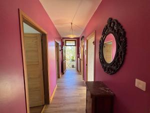 corridoio con specchio su parete rosa di Chez Patricia a Graçay Altre 30 foto