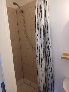 a shower in a bathroom with a shower curtain at Gästewohnung im Schlosshof in Riedlingen