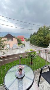 Příroda nedaleko penzionu + 58 fotografií