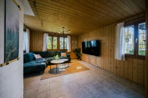 Μια τηλεόραση ή/και κέντρο ψυχαγωγίας στο The Alpine Nest on the Sunny Slope with Hot Tub