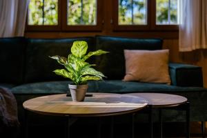 Χώρος καθιστικού στο The Alpine Nest on the Sunny Slope with Hot Tub