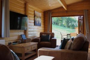 サマートンにあるViaduct Fishery Lodgesのソファとテレビのあるリビングルーム