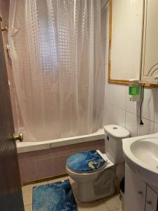 a bathroom with a toilet and a sink at Casa Cabaña Oro Rayado Puerto Varas in Puerto Varas