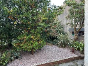 een boom midden in een tuin bij Mallison Cottage in Stalybridge