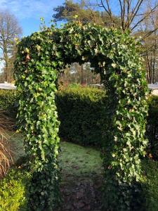 an arch covered in ivy in a garden at Chalet Selesa Beekbergen in Beekbergen +29 photos