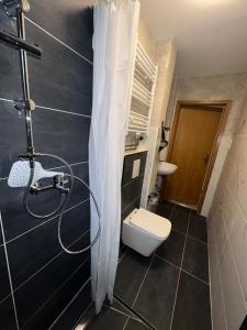 a small bathroom with a toilet and a shower at Fewo am Rammelsberg in Goslar +7 photos