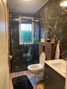 a bathroom with a shower and a toilet and a sink at Maison individuelle, 3chambres, avec parking in Le Grand-Quevilly