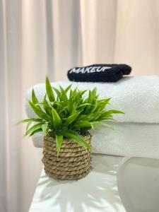 モンテゴ・ベイにあるVacay Suite Private Beach Access Gated Parkingのタオルの隣のテーブルに置かれた植物