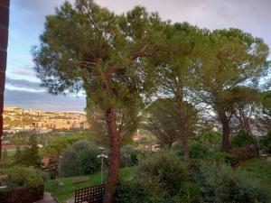 a tree in a park with a view of a city at Freetime in Perugia