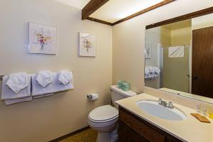 un bagno con un water, un lavandino e uno specchio di Horizons 4 - Pool & Hot Tub Access a Mammoth Lakes