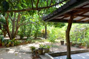 Zahrada ubytování Sigiriya Freedom Lodge