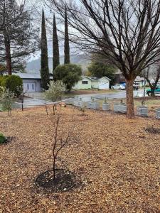 Φωτογραφία από το άλμπουμ του Cozy lake home with indoor fireplace & dock σε Clearlake Oaks