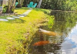 een vis die in het water naast een tuin zwemt bij NO EXTRA FEES! Heated pool, Rods, BBQ, Fire Pite, 8 PAX, 2BR, 3BA in North Fort Myers +37 foto's