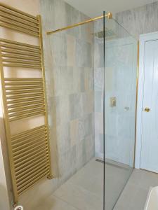 een douche met een glazen deur in een badkamer bij Galway Paradisus in Galway +7 foto's