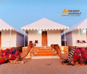Un grupo de camellos sentados frente a un edificio. en Desert Mannat Camping Jaisalmer, en Sām