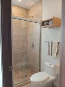 CapellaníaにあるCasa de 2 plantas, confort y ubicación estratégicaのトイレとガラスのシャワー付きのバスルーム