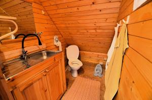 a small bathroom with a toilet and a sink at Öökulli öömaja in Tartu