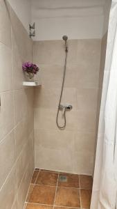 a bathroom with a shower with a plant on a shelf at Apartamento Ferreirola- Casa rural La Chaparra in Pitres