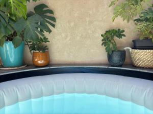 a group of potted plants sitting on a ledge at Chambre en centre ville avec jacuzzi in Nîmes