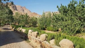 Příroda nedaleko kempu