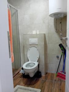 a bathroom with a toilet and a shower at Suncokret in Kruševac