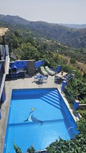 a swimming pool with a lizard painted on it at Apartamento Ferreirola- Casa rural La Chaparra in Pitres
