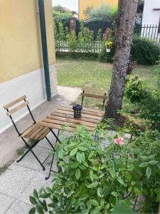 eine Holzbank und ein Stuhl neben einem Baum in der Unterkunft Casa Coralli in Pavia