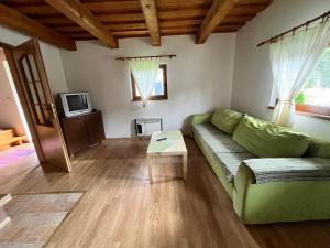 a living room with a green couch and a tv at Chata u Ondríka in Čierny Blh