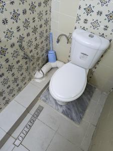 a bathroom with a white toilet in a shower at Paradis mira in La Marsa