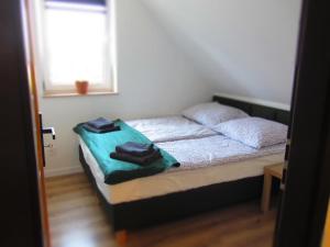 Ένα ή περισσότερα κρεβάτια σε δωμάτιο στο Apartment pod Sysunia