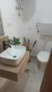 a bathroom with a sink and a toilet at Sunčani apartman - Studio - 3 in Krupanj