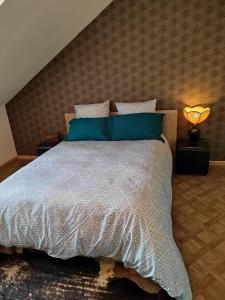 een slaapkamer met een groot bed met blauwe kussens bij Maison mignonne in Hirson