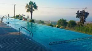 สระว่ายน้ำที่อยู่ใกล้ ๆ หรือใน Droushia Holiday Apartments