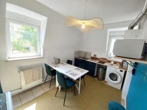 a kitchen with a table and a washing machine at Duplex Éléonore-Lilas in Mulhouse