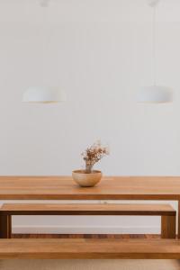 a wooden table with a plant on it at Marea Alta in La Caleta +17 photos