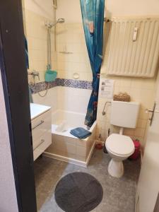 ein kleines Badezimmer mit Toilette und Dusche in der Unterkunft Apartment Ferienwohnung modern nähe Altstadt Landshut in Landshut