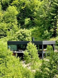 Φωτογραφία από το άλμπουμ του Tribal Loft σε Dămuc