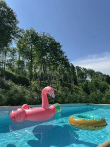 a pink swan float in a pool with a hot dog at Cabana 1407 Valea Avrigului in Avrig