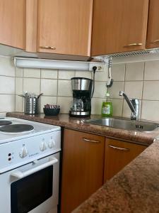 a kitchen with a stove and a sink at Lauttasaari Studio in Helsinki