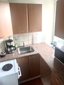 a kitchen with a sink and a counter top at Lauttasaari Studio in Helsinki +3 photos