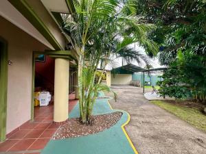 Κήπος έξω από το Room D Heredia – Great location +13 φωτογραφίες