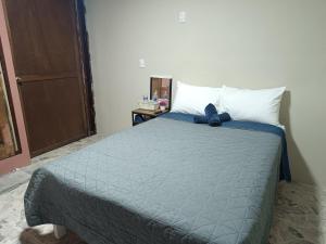 a bedroom with a bed with a blue comforter at Suite 103 Cordoba Centro con Estacionamiento in Córdoba