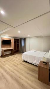 a large bedroom with a bed and a tv at Amazon Seasons hotel in Belém