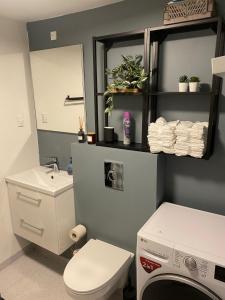 a bathroom with a toilet and a sink and a washing machine at Aalborgs mest centrale lille hyggelige New Yorker lejlighed in Aalborg