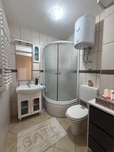 a bathroom with a shower and a toilet and a sink at Apartman Mountain View in Vlasic