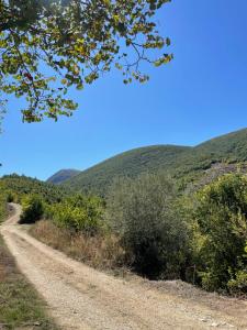 Naturlandskabet i nærheden af landstedet