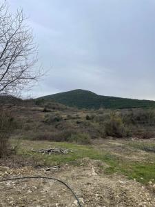 Naturlandskabet i nærheden af landstedet